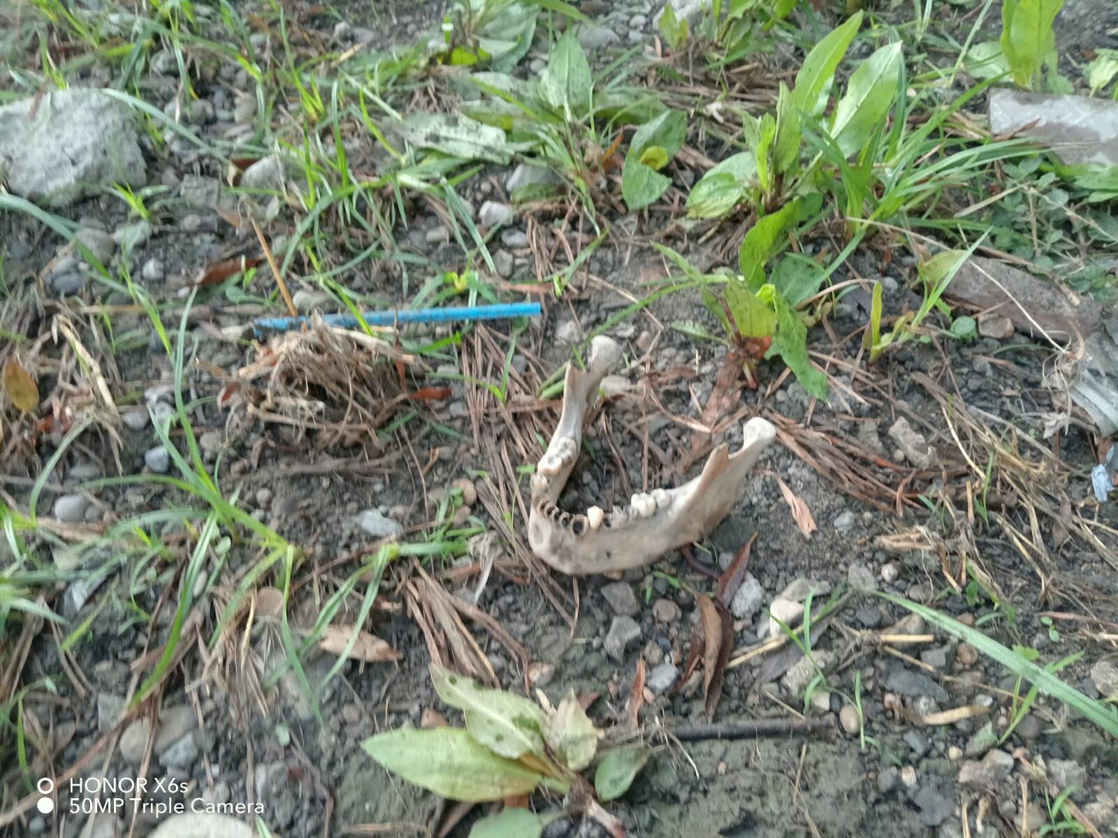 Encuentran posible mandíbula humana en arroyo donde localizaron 35 huesos en Piedras Negras