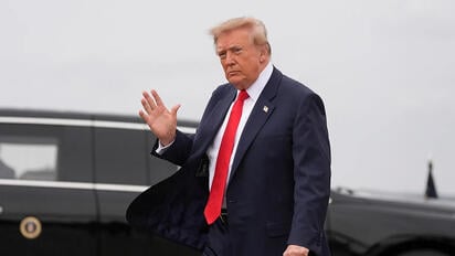 Trump anuncia alto el fuego energético entre Rusia y Ucrania