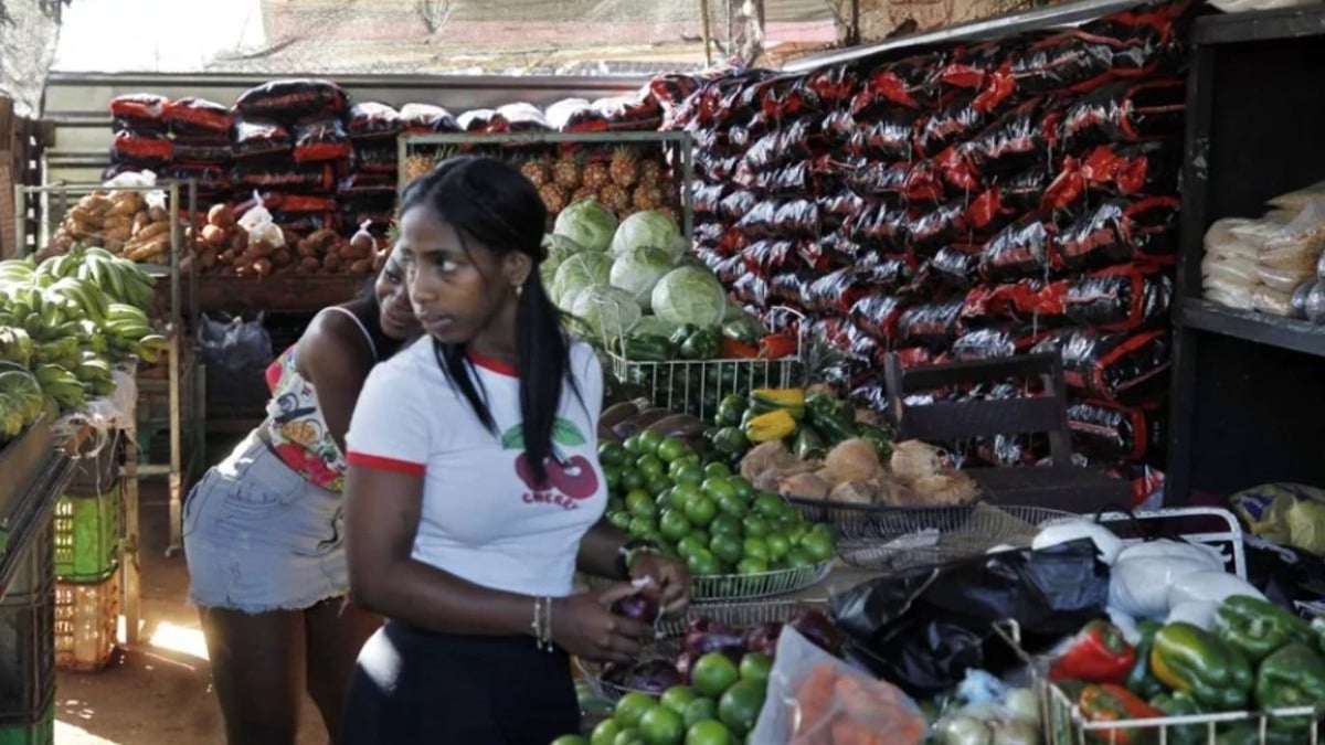 Cuba pone en marcha su primer mercado mayorista para el sector público y privado