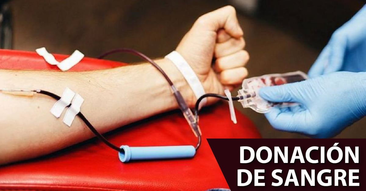 Nueva norma de donación de sangre en México: cuándo entrará en vigor