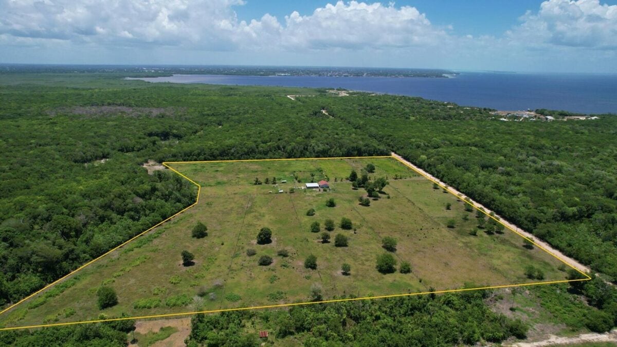 Campeche gana terreno en innovación económica y destaca a nivel nacional