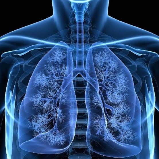 Vapeo: 5 riesgos para la salud