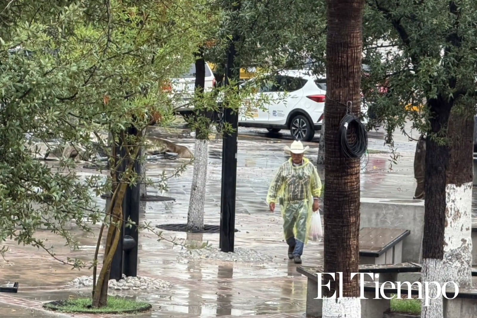 lluvias