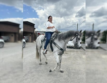 Mujeres rurales avanzan en el liderazgo y la dirigencia de ejidos en la Región Carbonífera