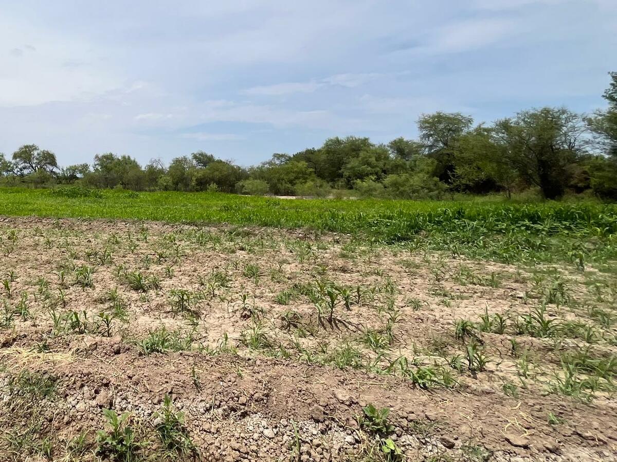 Superan lluvias del año registros de temporadas anteriores en Monclova