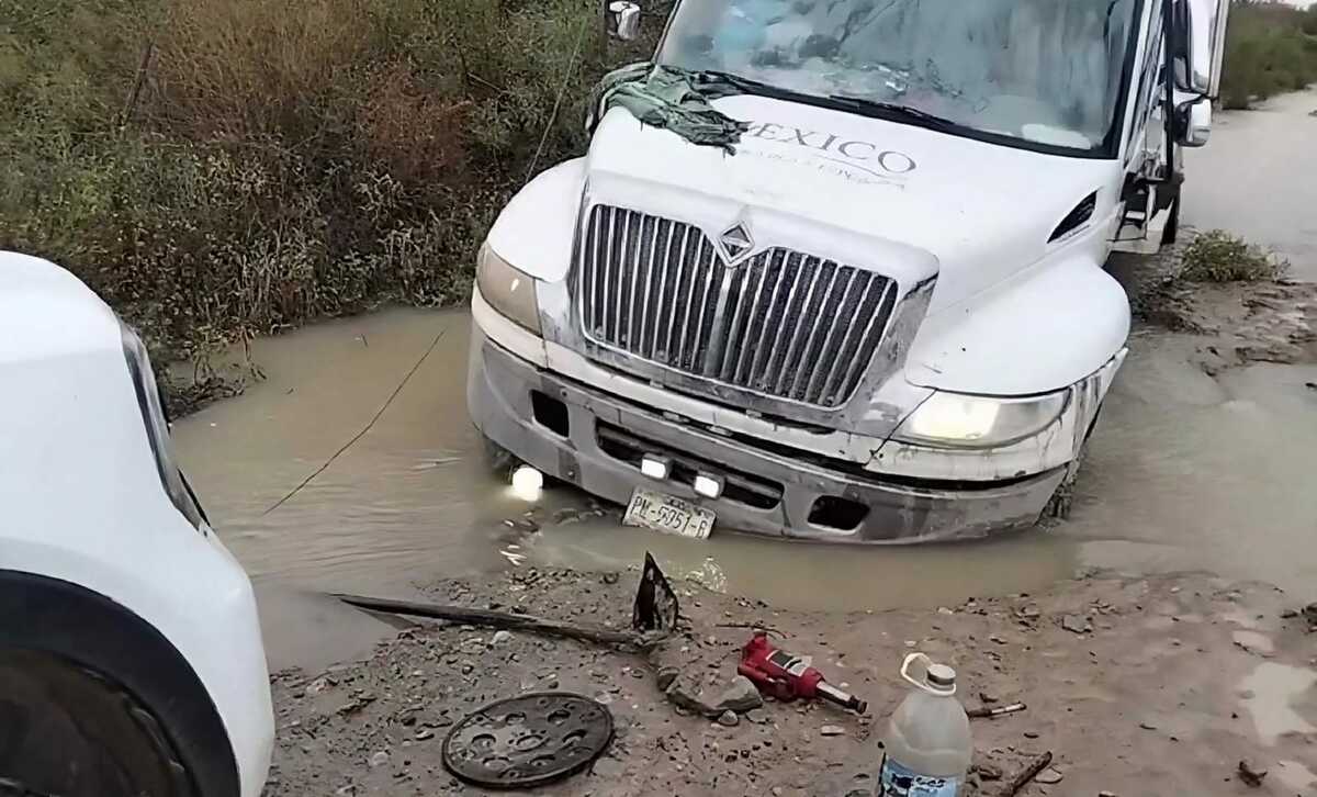 Seguridad Seguridad