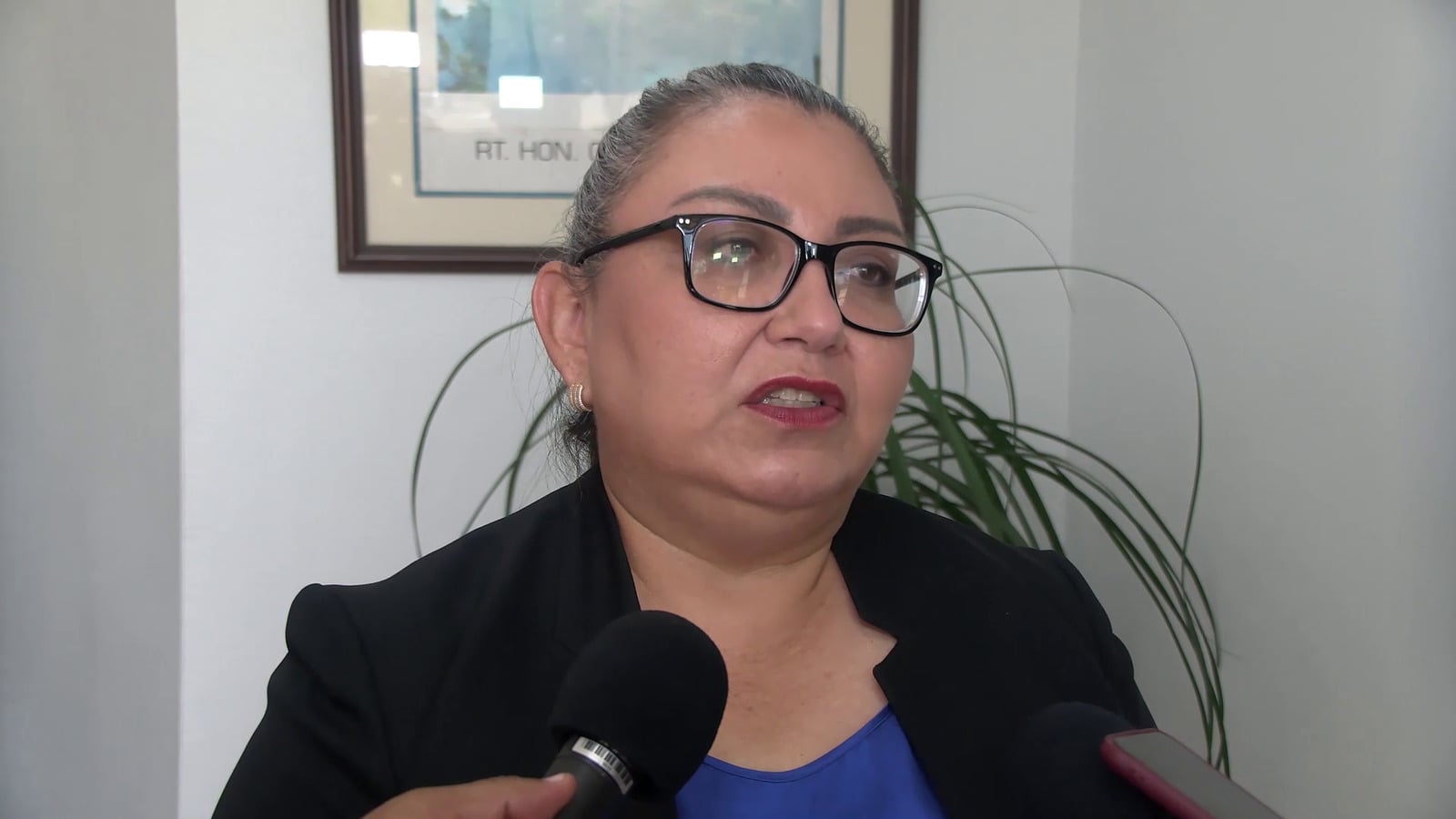 Del INE a Seguridad Pública: el nuevo cargo de Claudia Arlett Espino