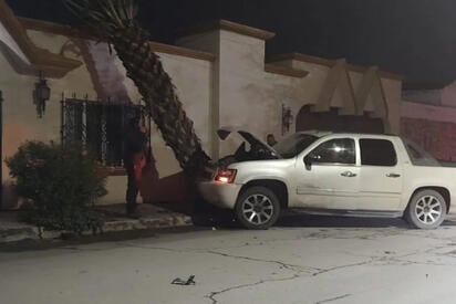 Elementos de Control de Accidente tomaron conocimiento.  MONCLOVA, COAH.- Una palmera terminó derribada y una camioneta con daños materiales fue el saldo