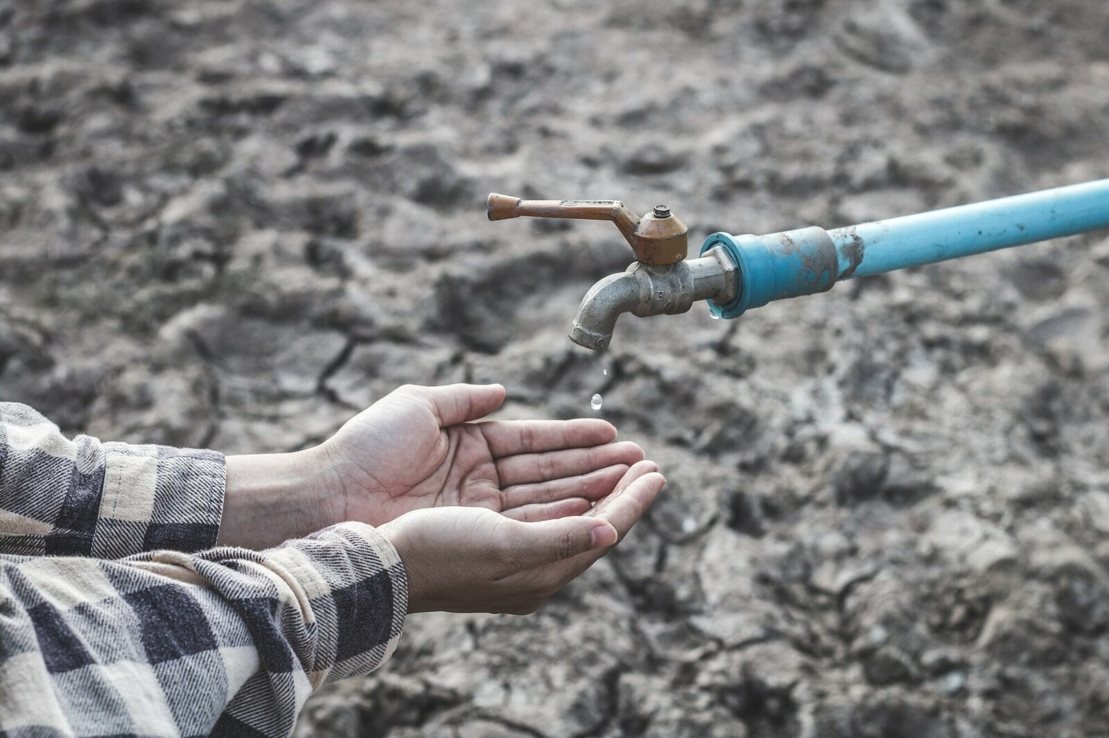 Guadalajara espera solución al problema del agua; Sheinbaum explica qué falta