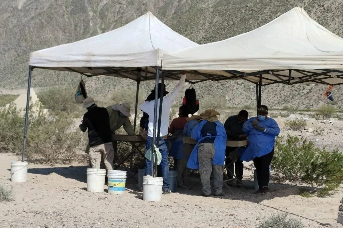 Localizan 13 fosas con restos calcinados en Viesca, Coahuila