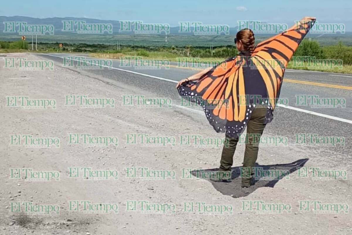 CONANP promueve protección de mariposas en La Muralla, carretera 57