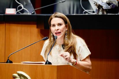 Carolina Viggiano declara terreno en Zirándaro por 1.31 millones de pesos