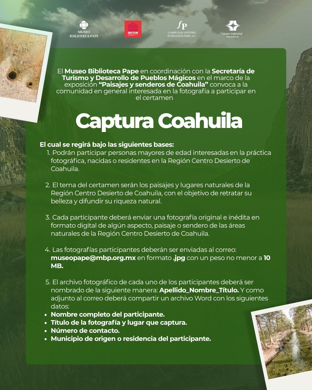 Fotógrafos