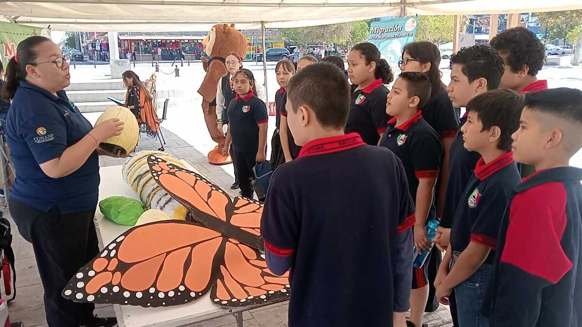 CONANP promueve el cuidado de la mariposa monarca en la Carbonífera