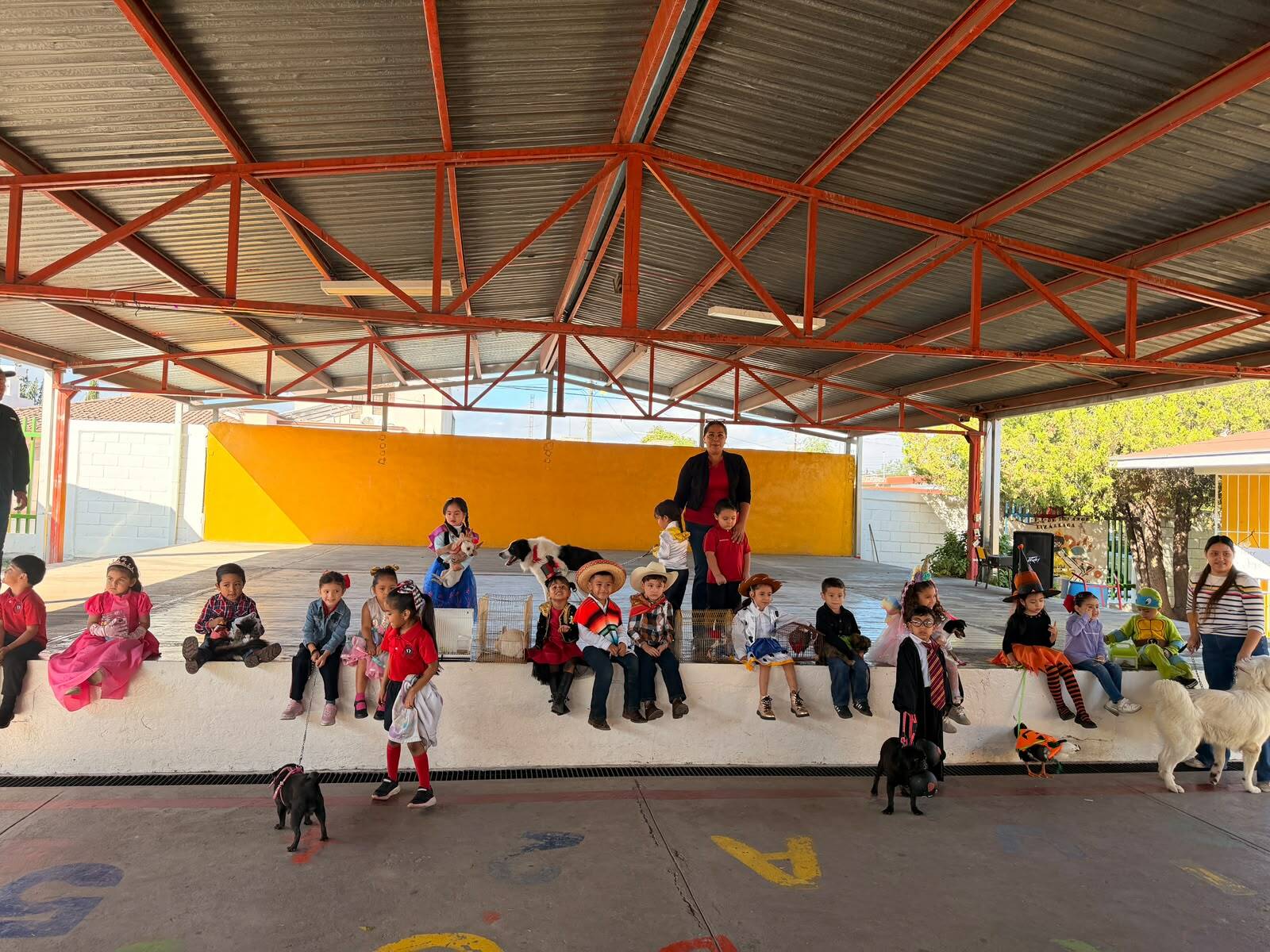 Alumnos de segundo A desfilan con mascotas en alfombra roja escolar