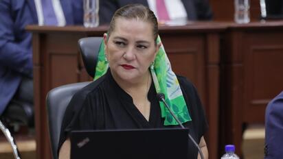 GUADALUPE TADDEI Guadalupe Taddei respaldó la revisión de la ASF y reiteró la disposición del INE para colaborar en las investigaciones. La presidencia del Instituto Nacional