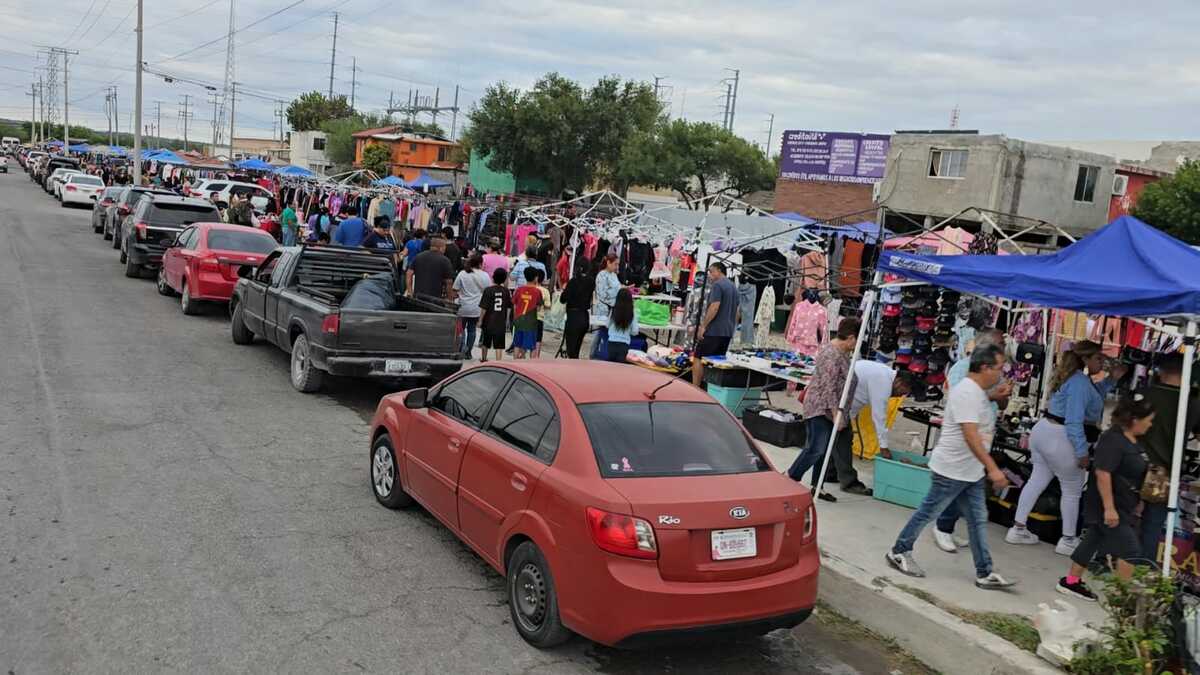 Crecen las pulgas en Piedras Negras; familias encuentran alternativa para generar ingresos