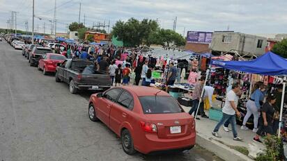 Crecen las pulgas en Piedras Negras; familias encuentran alternativa para generar ingresos