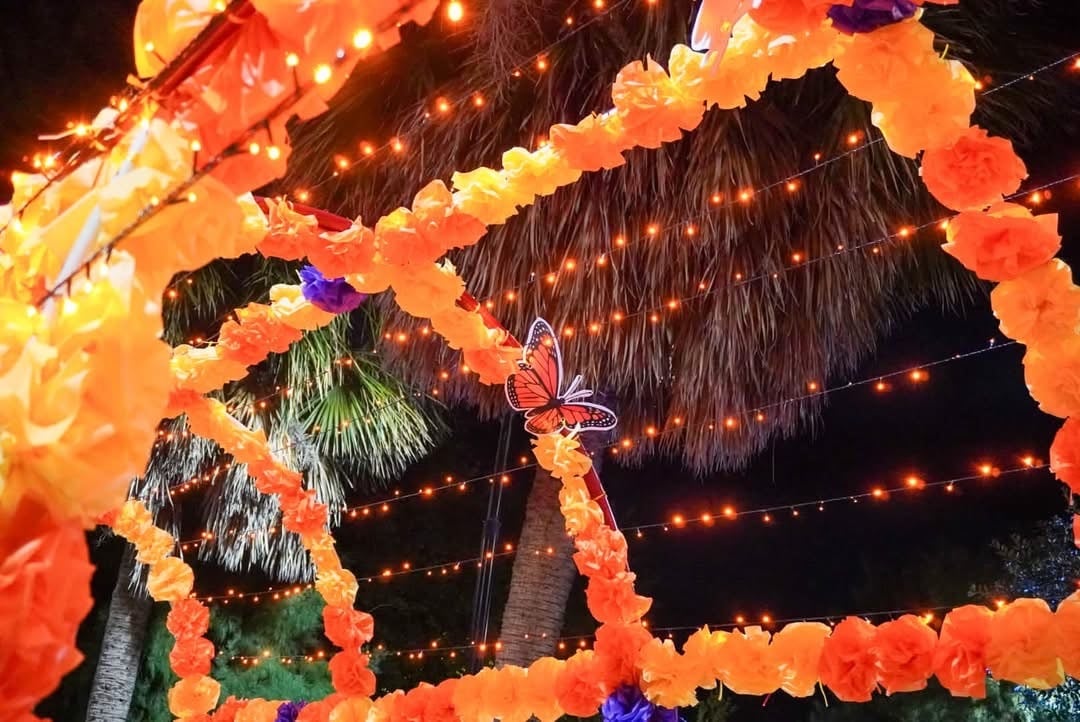 Múzquiz prepara panteones para el Día de Muertos.