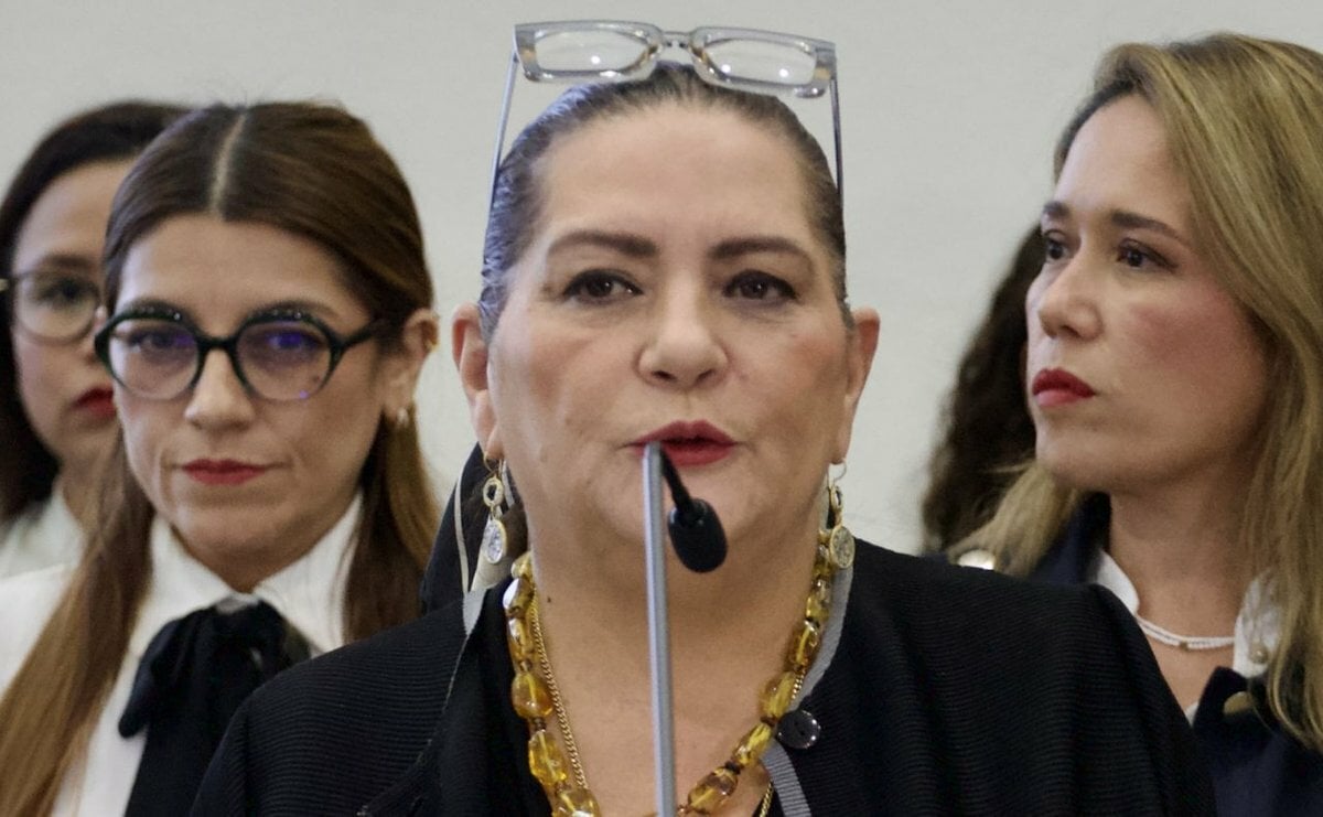 Guadalupe Taddei anuncia su renuncia a la presidencia del INE