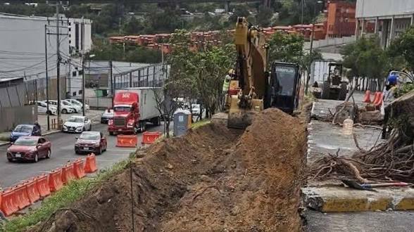 Retirarán 76 árboles por paso de L5 del Mexibús