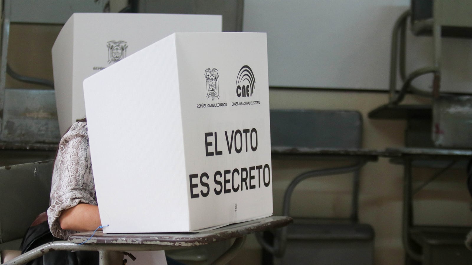 Siete empresas acumulan contratos electorales por más de mil millones de pesos