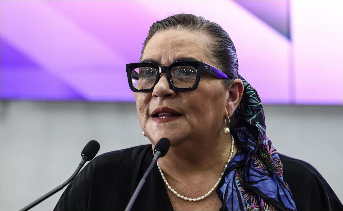 La reserva de Morena que amplió las facultades de Taddei vuelve al debate