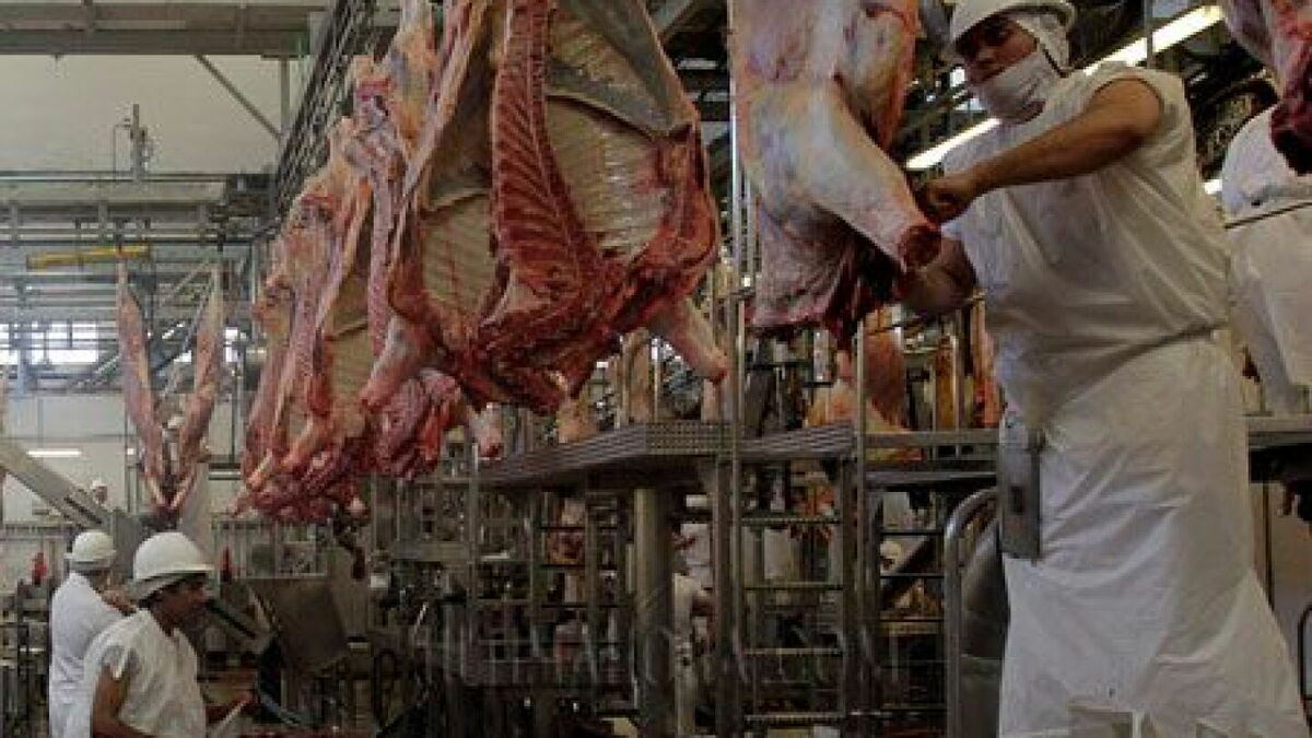 Paraguay recibe autorización sanitaria para exportar carne bovina a México