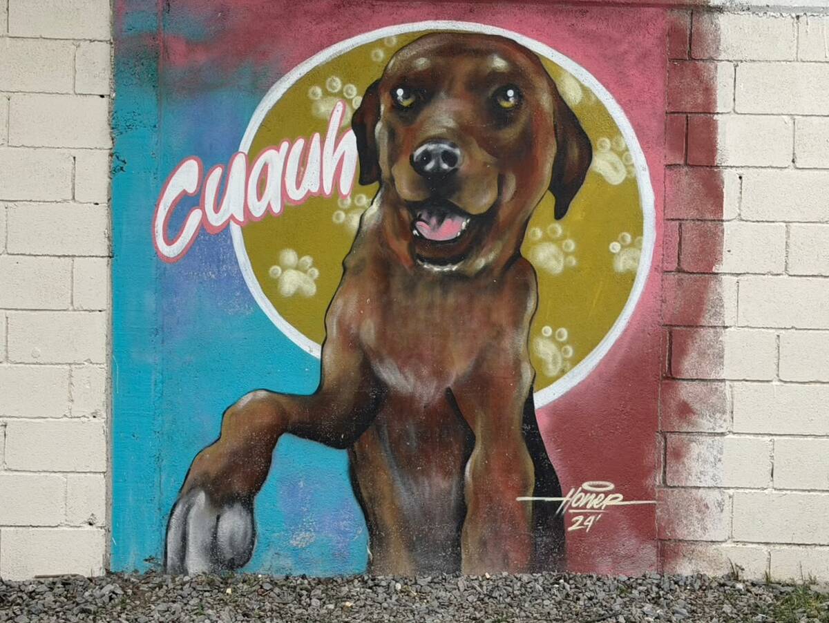 Cuauh, el guardián de la Escuela Cuauhtémoc que vive para siempre en sus paredes