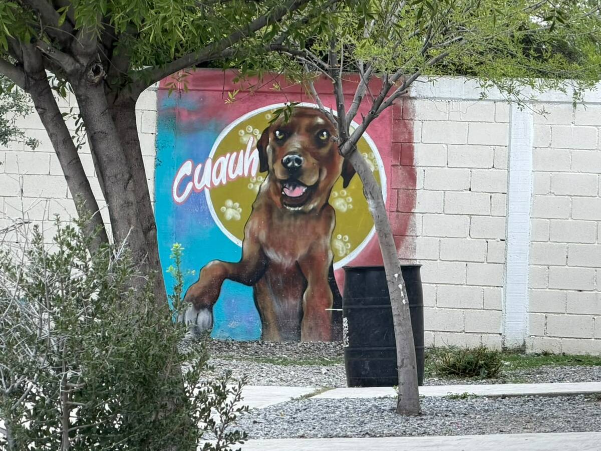 Cuauh
