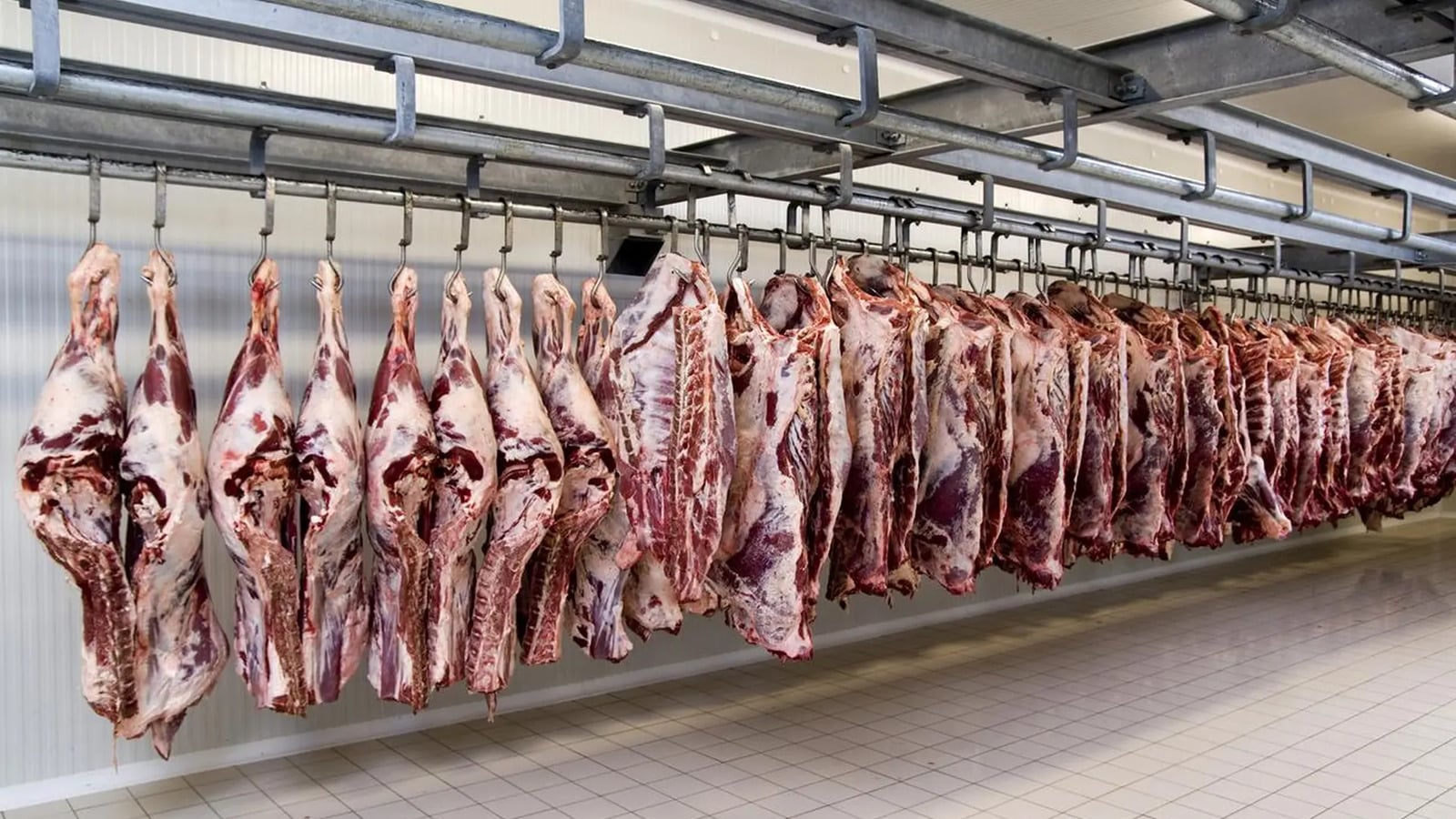 Paraguay obtiene autorización para exportar carne bovina a México