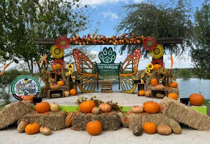 El Ecoparque Monclova ha recibido miles de visitantes; el alcalde Carlos Villarreal Pérez anunció que las actividades continuarán un día