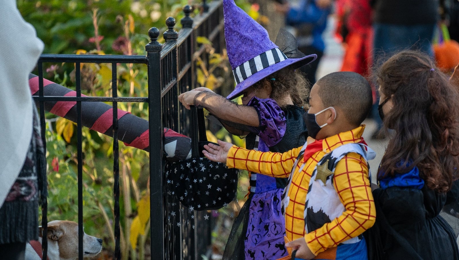Chocolate sube 11.7% en Estados Unidos y caen las ventas rumbo a Halloween 2026