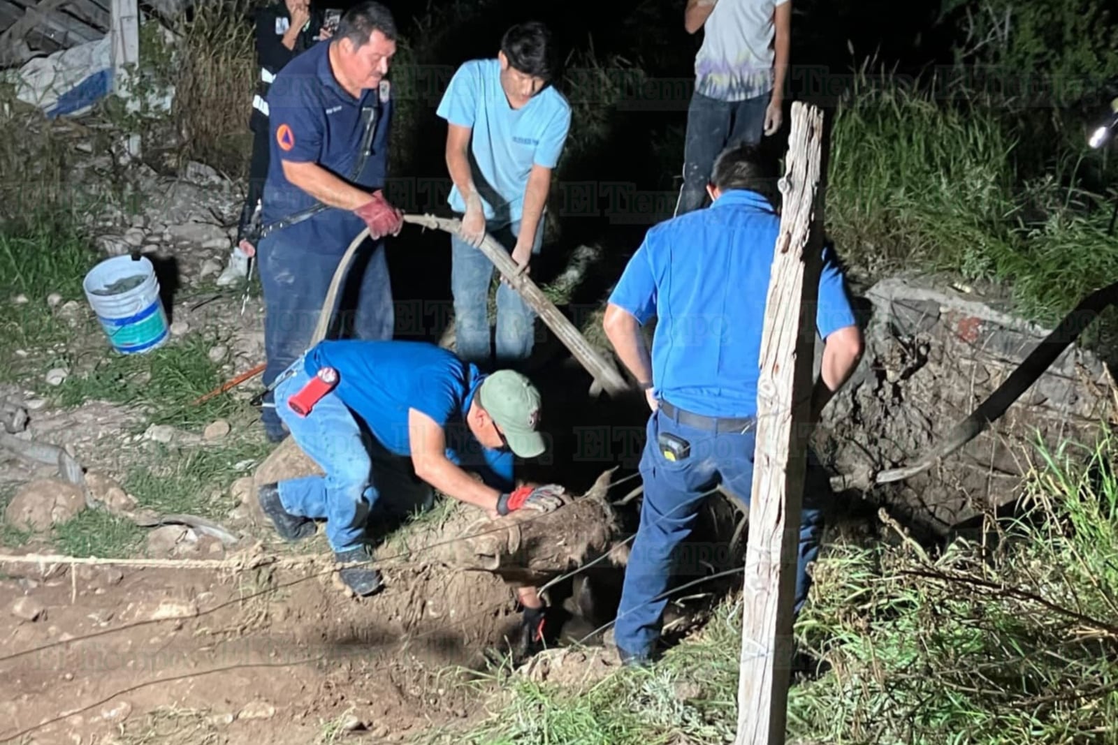 Seguridad