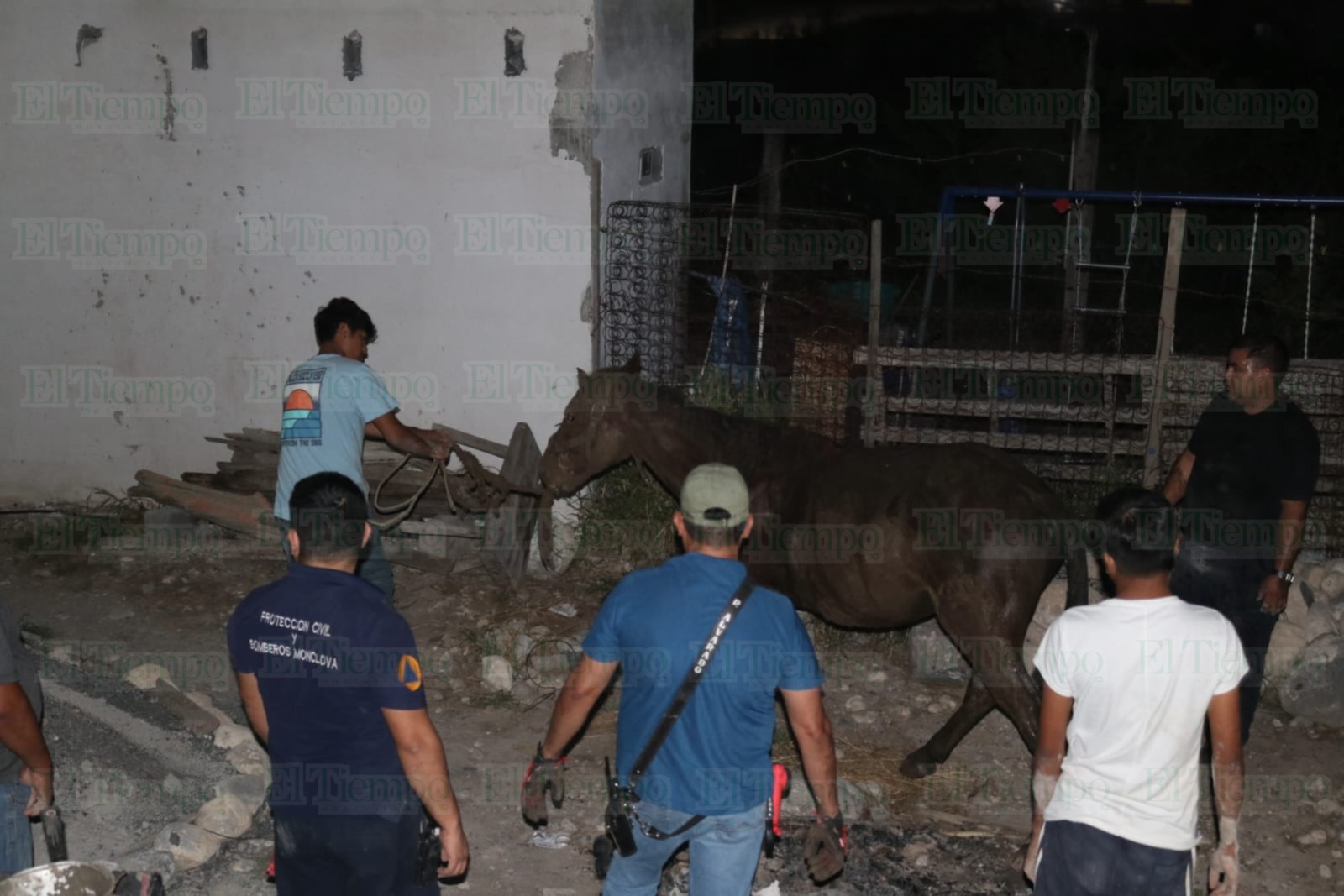 Seguridad