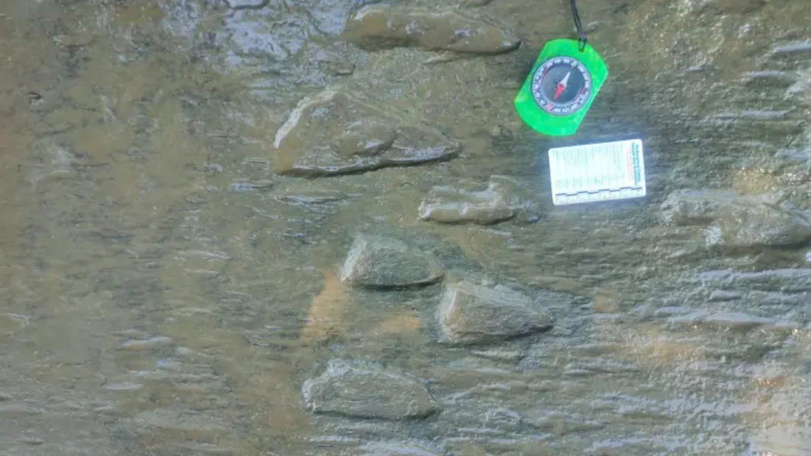 INAH identifica huellas de dinosaurios carnívoros y herbívoros en Michoacán