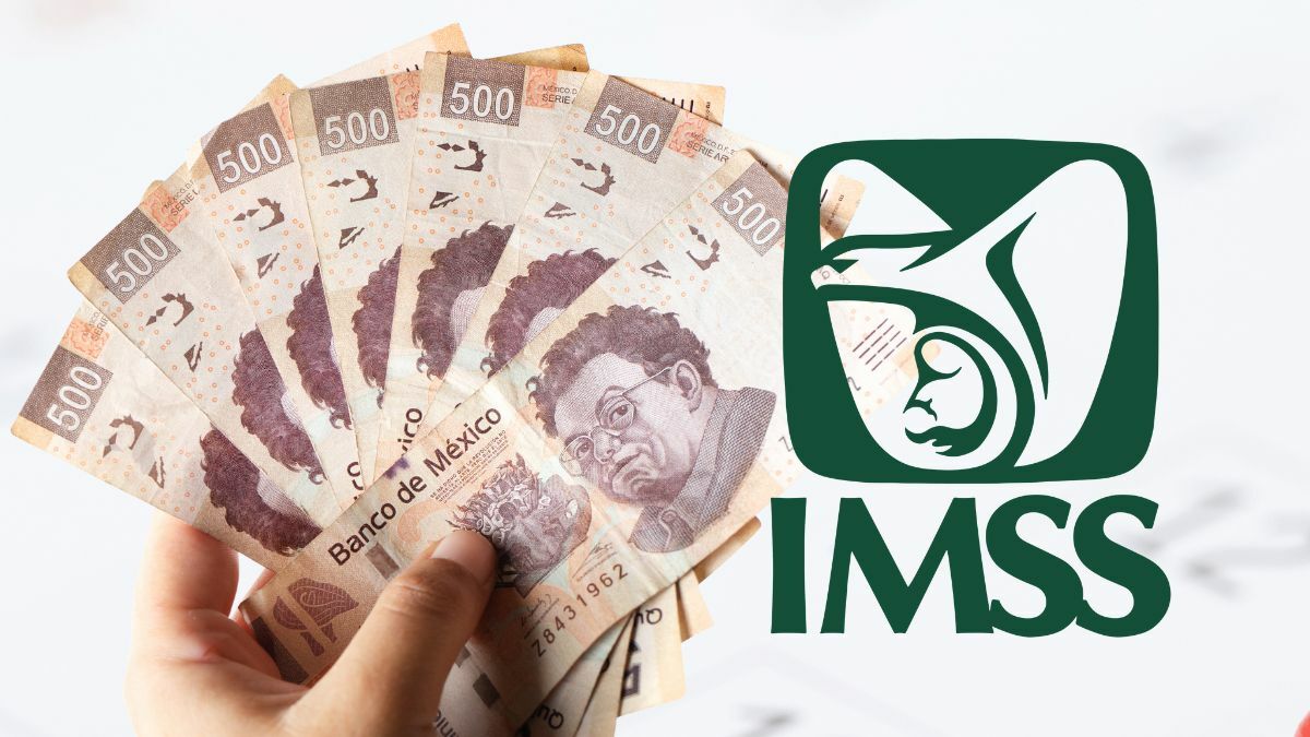 Modalidad 40: IMSS detecta presuntas irregularidades en el aumento de pensiones
