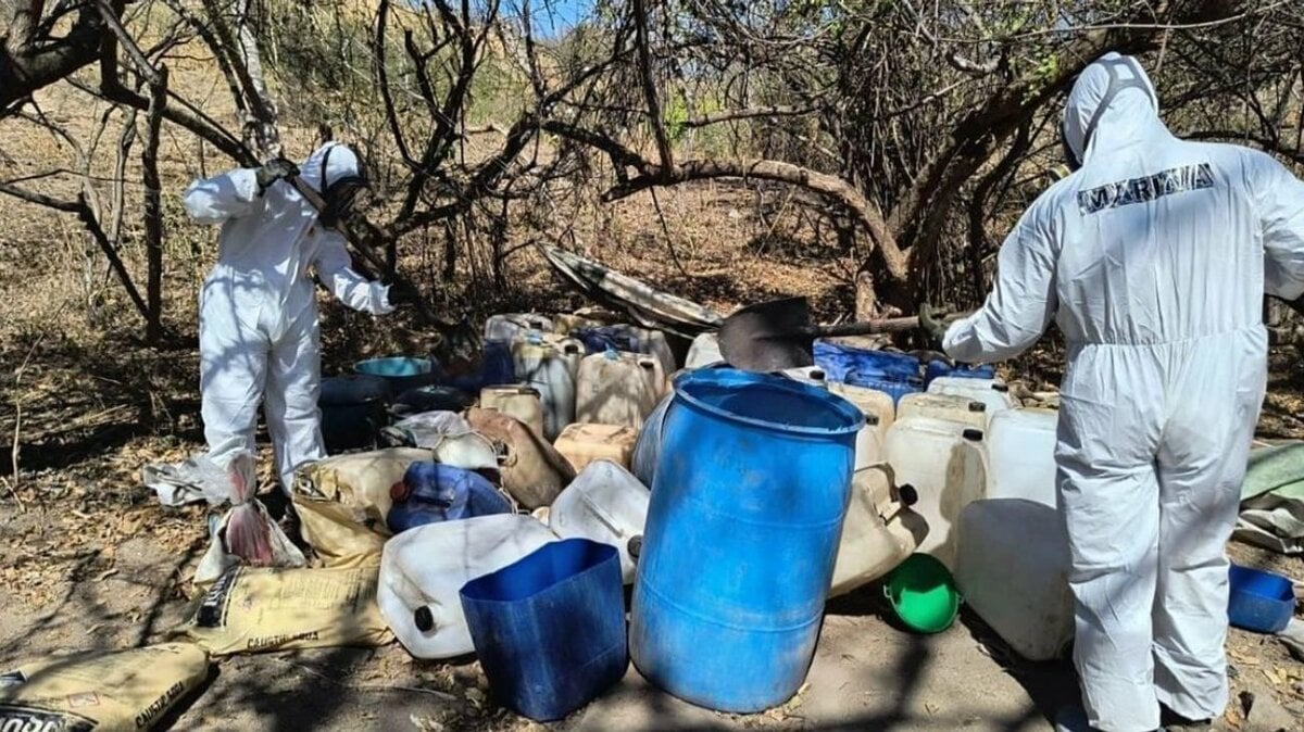 Dos laboratorios de metanfetamina son desmantelados en el municipio de Topia