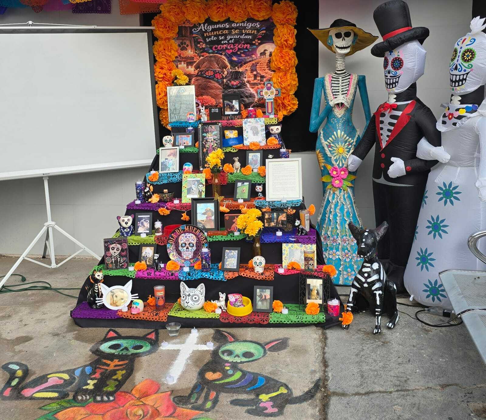Mascotas también tienen su Día de Muertos; familias de Piedras Negras les dedican altares