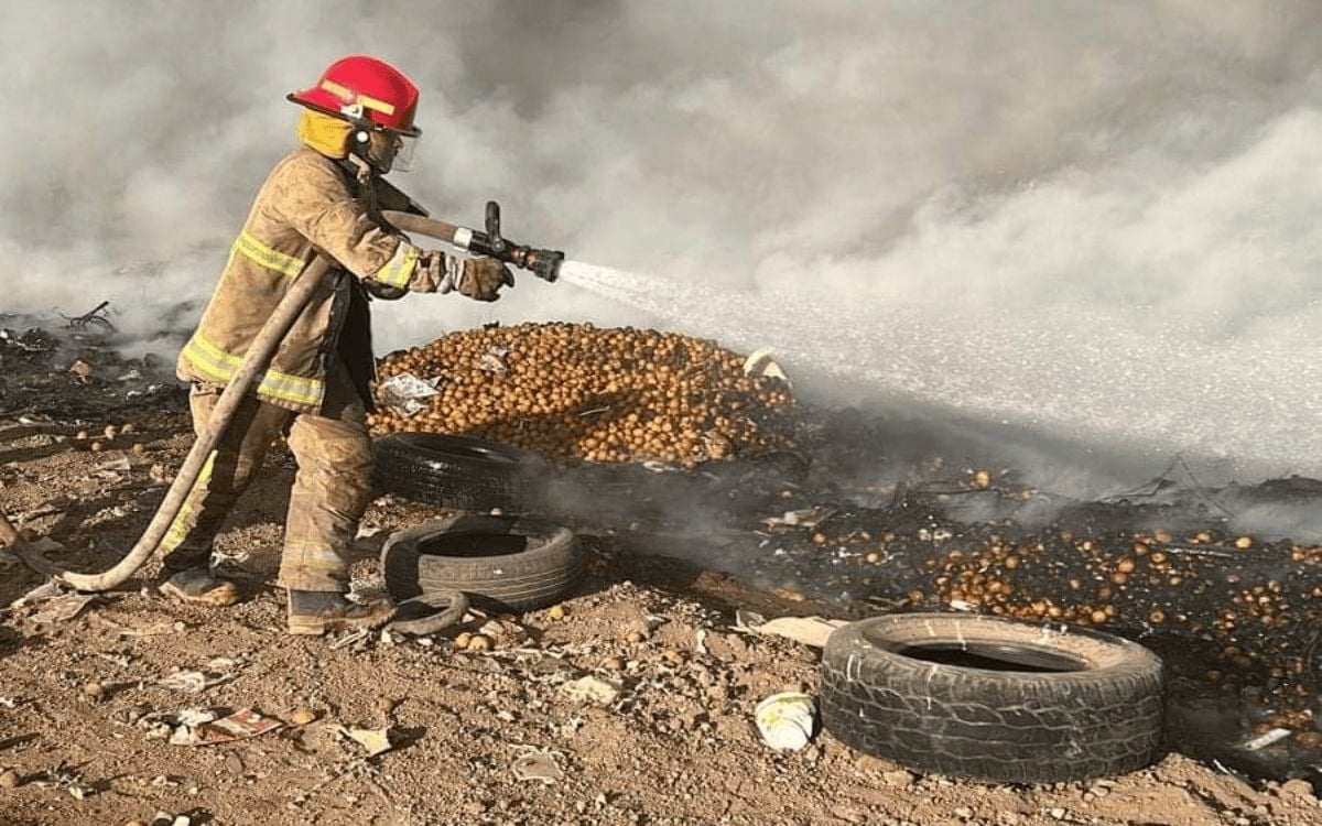 El paro cardíaco representa una de las principales causas de muerte entre bomberos
