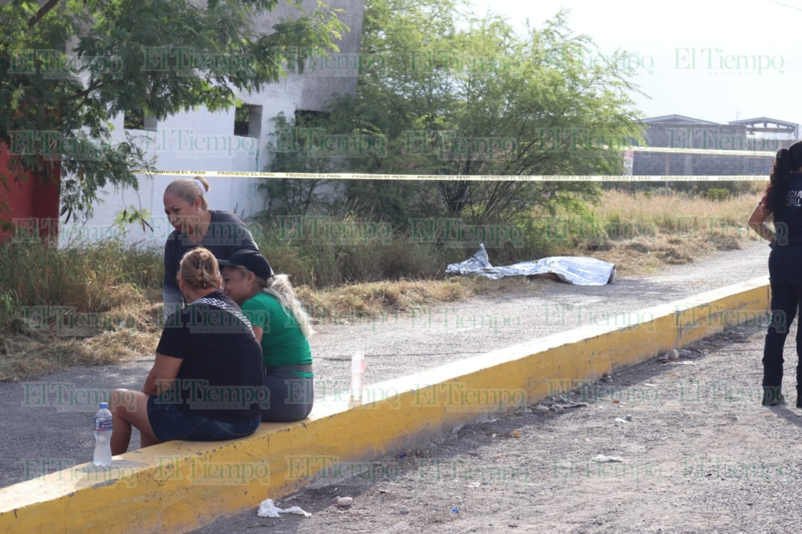 Seguridad