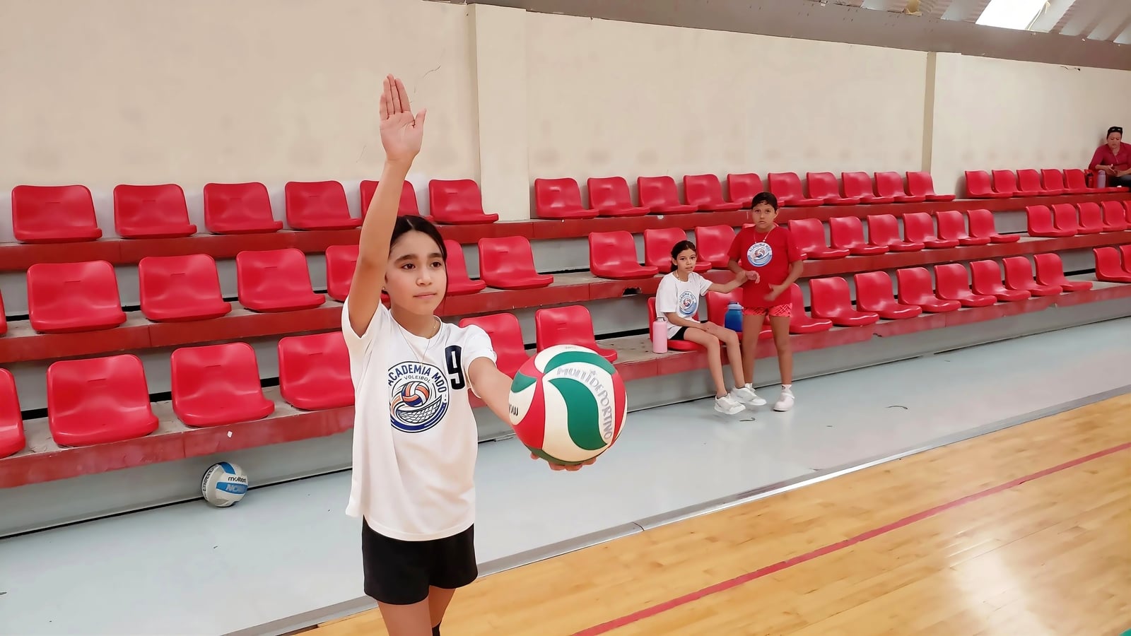 Academia de voleibol