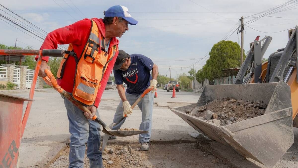 bacheo