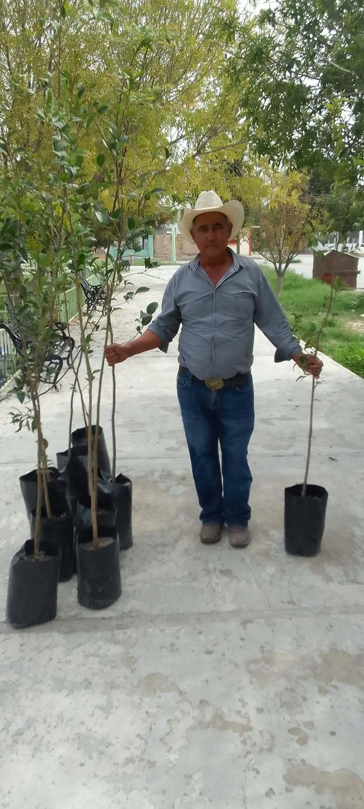 Ecología