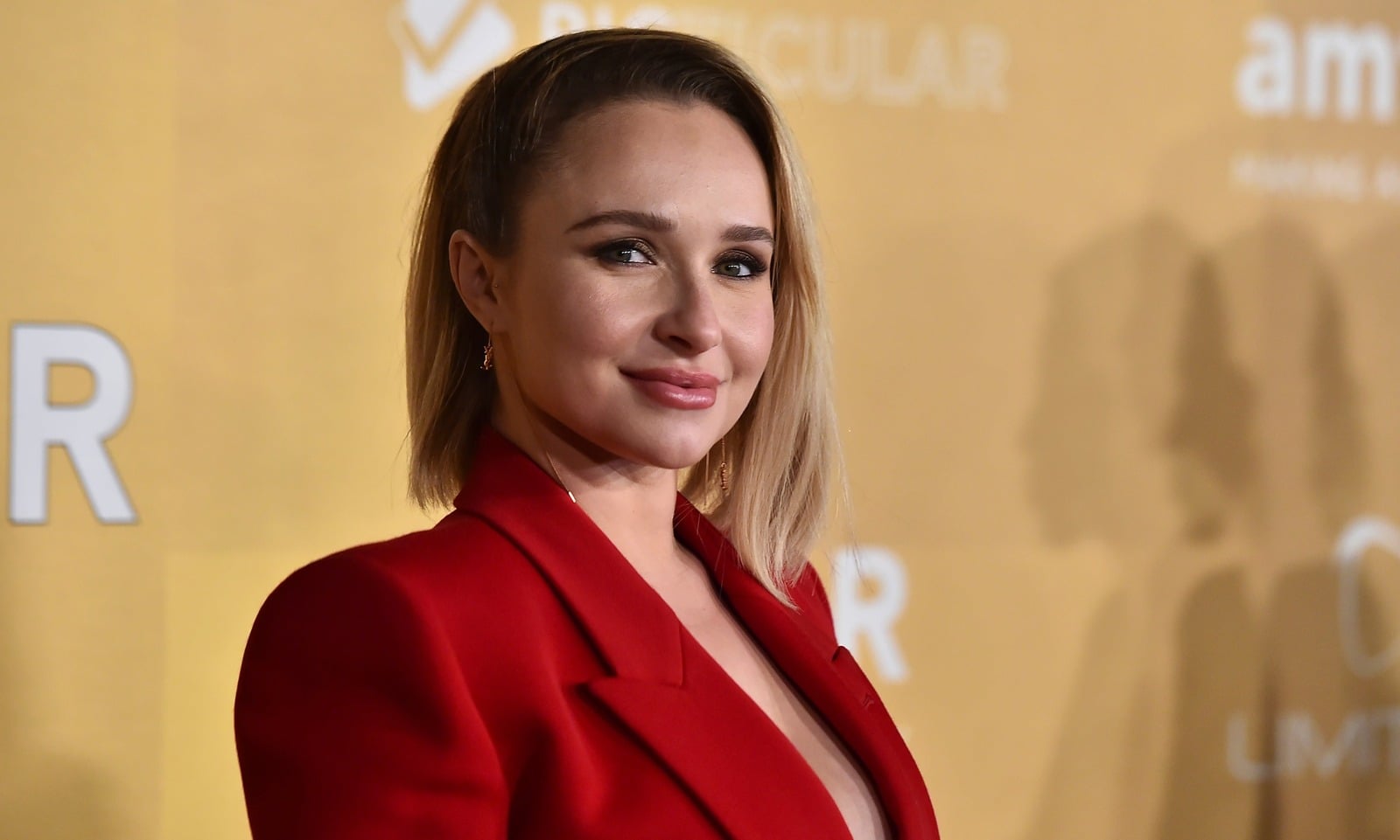 Caso Hayden Panettiere: finaliza investigación tras determinar muerte accidental