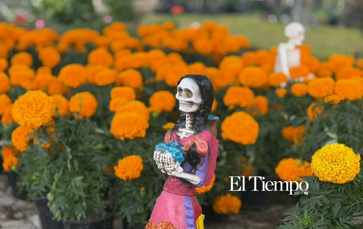 Flor de cempasúchil llega a Monclova y pinta de naranja los alrededores de los panteones