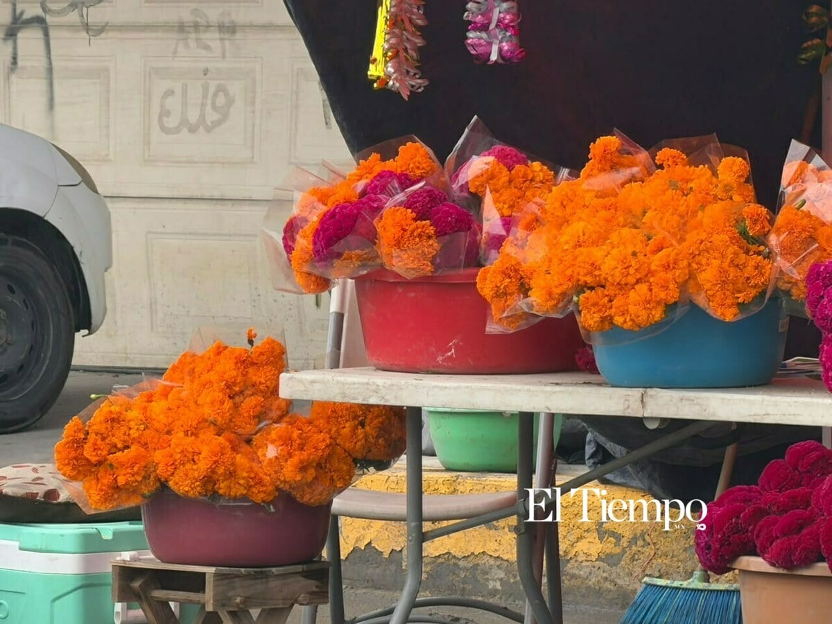 Flor de cempasúchil
