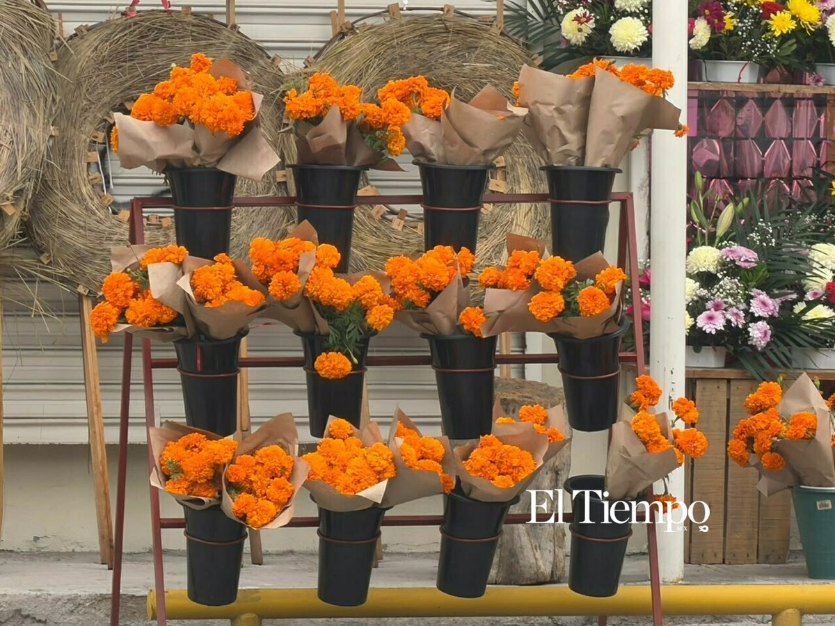 Flor de cempasúchil
