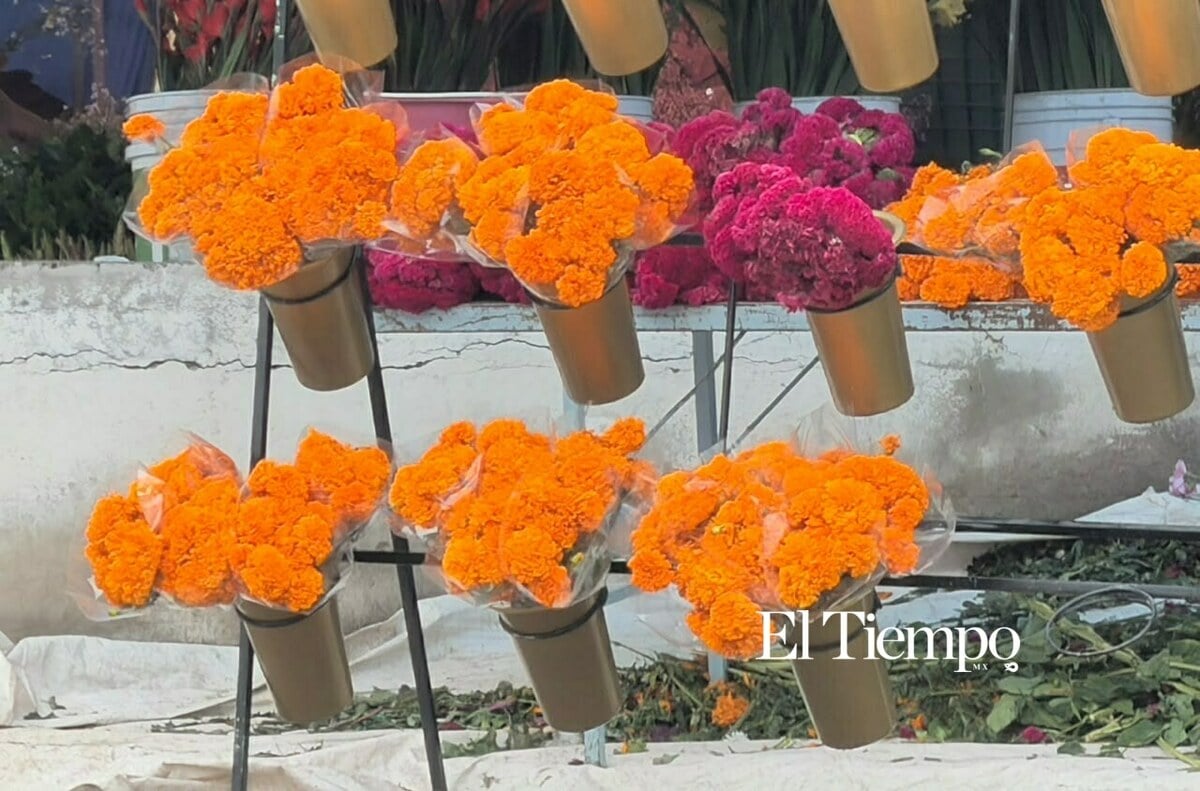 Flor de cempasúchil